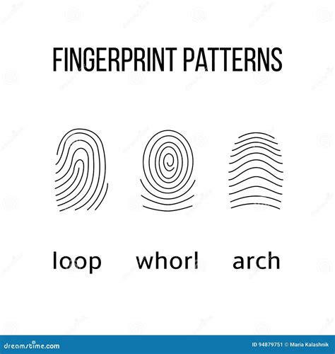 Three Fingerprint Types On White Background. Royalty-Free Cartoon ...