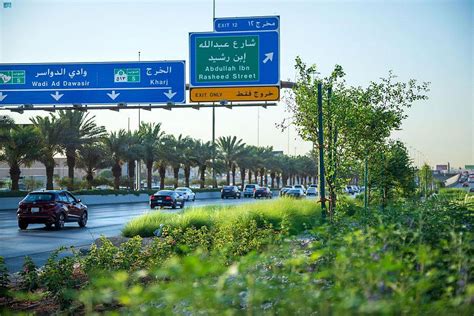 Green Riyadh Program Embarks on Planting Trees in Residential ...