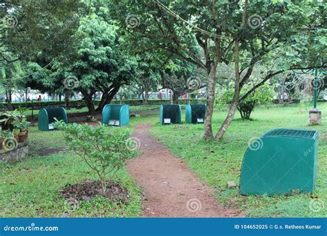 Napier museum gardens - 1 editorial image. Image of kerala - 104652025