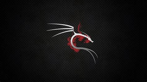 [100+] Kali Linux Wallpapers | Wallpapers.com