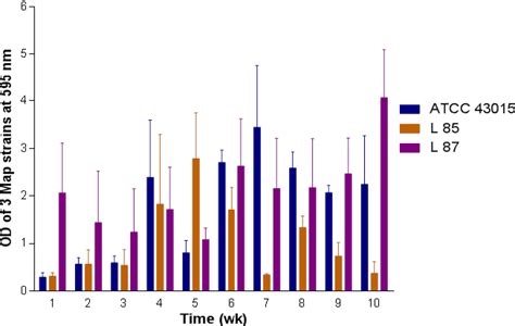 Figure 1 from Spectrophotometric determination of biofilm formation by Mycobacterium avium ssp ...