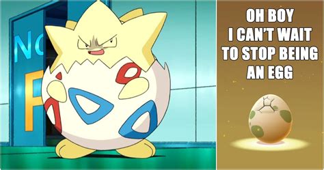 Pokémon: 10 Hilarious Day Care Breeding Memes Only Real Fans Will ...