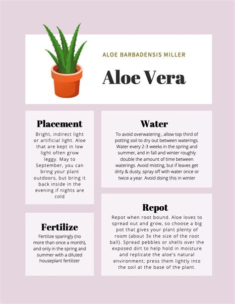 the aloe vera info sheet