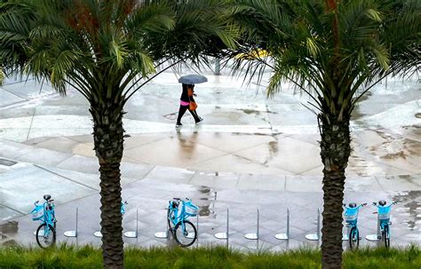 Long Beach is above normal in rainfall this year—and the next storm is ...