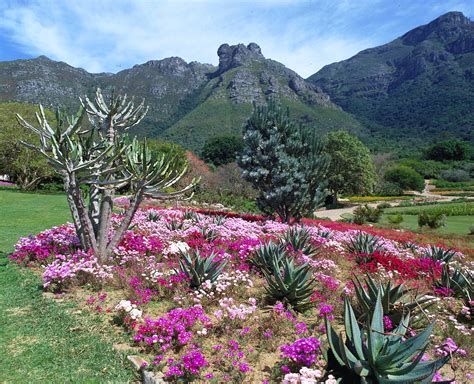 Kirstenbosch Gardens