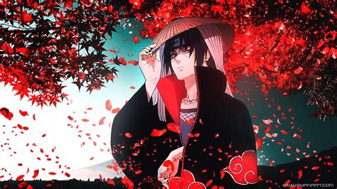 Akatsuki itachi uchiha naruto, Fondo de pantalla HD | Peakpx