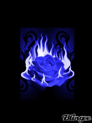 blue fire rose Picture #127562013 | Blingee.com