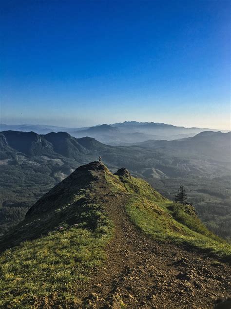 [OC] Saddle Mountain Trail, Saddle Mountain, Oregon Coast Range, Oregon ...