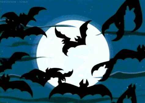 Halloween Bats GIF - Find & Share on GIPHY