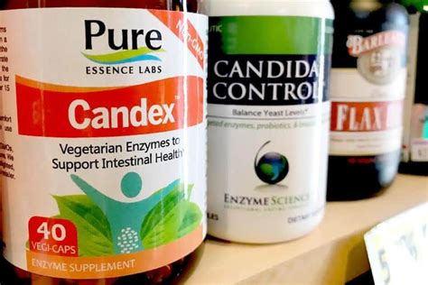 Best Probiotics For Candida Albicans Overgrowth Per Studies - Superfoodly