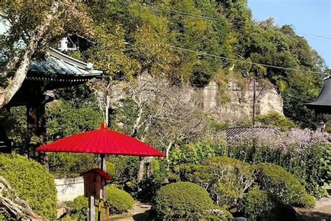2024 (Kamakura) Private Tour from North Kamakura Temples & Shrine