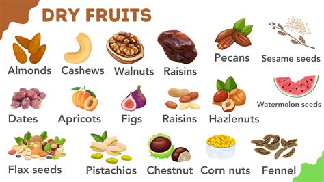 50 Dry Fruits Names in English with Infographics • Englishan