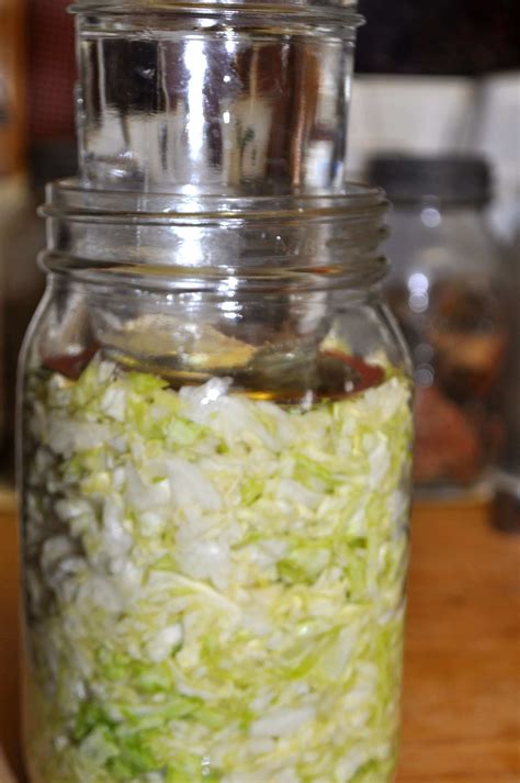 Preserving Food with the Lactic-Acid Fermentation Method: Sauerkraut Tutorial - Keeper of the Home