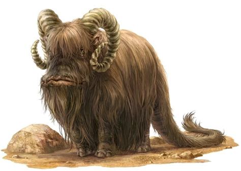 Bantha | Star wars characters pictures, Star wars drawings, Star wars species