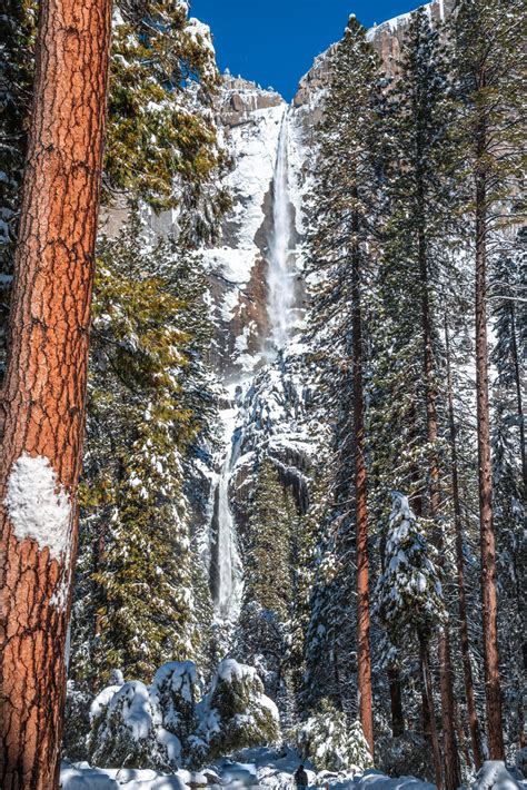 Winter Yosemite Falls Upper Lower Yosemite Falls Fine Art … | Flickr