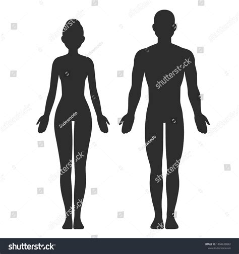 Male Female Body Silhouette Template Isolated Stock Vector (Royalty Free) 1404638882 | Shutterstock