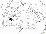 Cute Ladybug coloring Page  Free Printable Coloring Pages sketch template