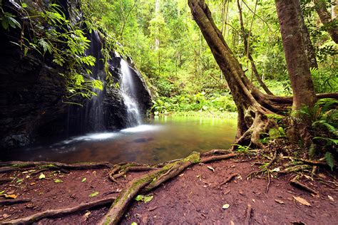 bunya mountains little falls DSC_9932 Photograph by Stephen Reid - Fine Art America