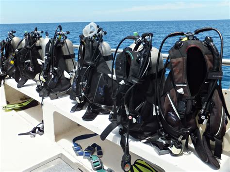 ScubaDiveJamaica | Why Are Scuba Diving Fins So Important?