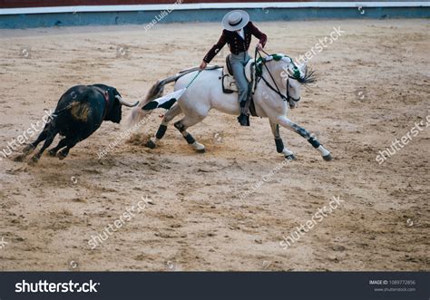 Corrida Matador Horse Fighting Typical Spanish Stock Photo 1089772856 ...