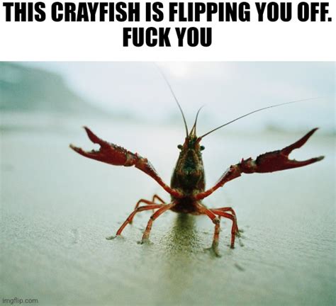 Crayfish flips you off Blank Template - Imgflip