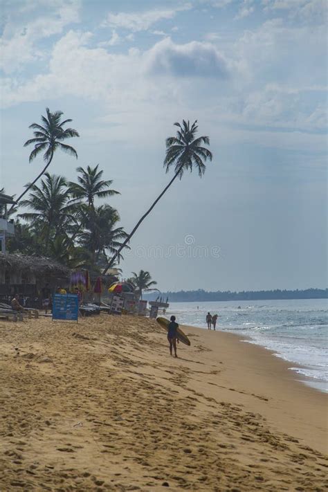 Negombo beach at Sri Lanka editorial image. Image of shore - 113821785