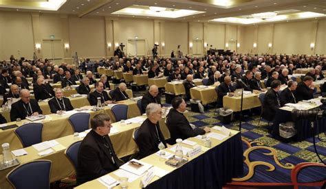 Positive News from the U.S. Conference of Catholic Bishops – Defenders ...