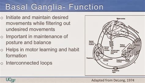 Getting past double vision one day at a time: The basal ganglia and what they do for you