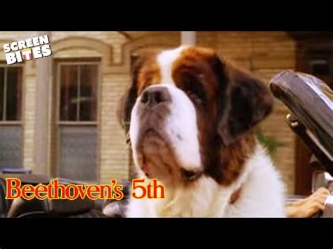 "Beethoven's 5th" - Official Trailer - YouTube