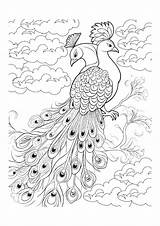 Magnificent Peacocks Coloring Pages I Perfect For Kids sketch template