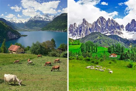 Switzerland vs. Austria for Vacation - Which one is better?