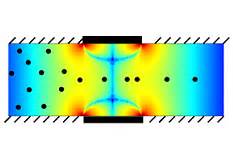 Dielectrophoresis, Cell-based Sensing, Elisabeth Smela, Professor, Mechanical Engineering ...