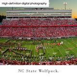 NC State Wolfpack Football Panoramic Fan Cave Decor
