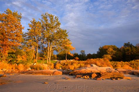 Fall Foliage – Pasture & Beach 2