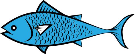 Fish clipart. Free download transparent .PNG | Creazilla - Clip Art Library