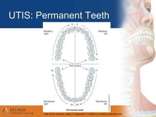 Palmer notation, fdi | PPT