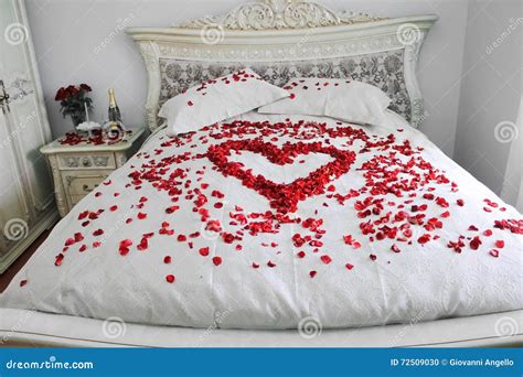 Flower Petals On Bed : Colourful Flower Petals - We Need Fun : By the ...