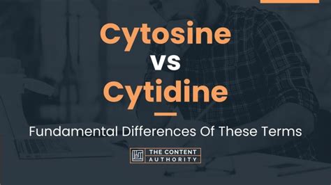 Cytosine vs Cytidine: Fundamental Differences Of These Terms