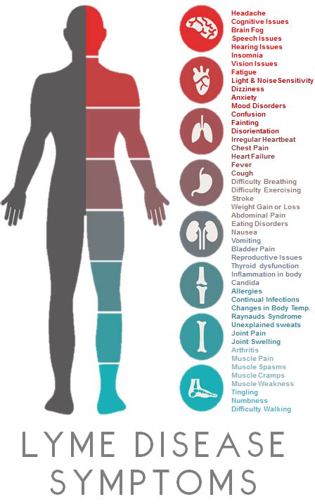 What Having Lyme Disease Taught Me About Love | Lyme disease ...