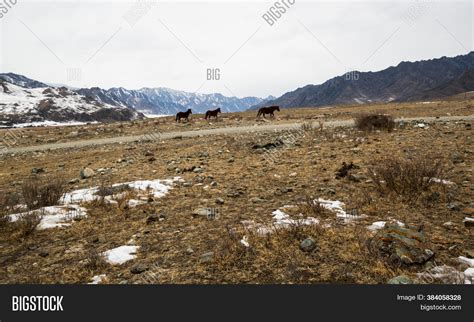 View Altay Mountains Image & Photo (Free Trial) | Bigstock