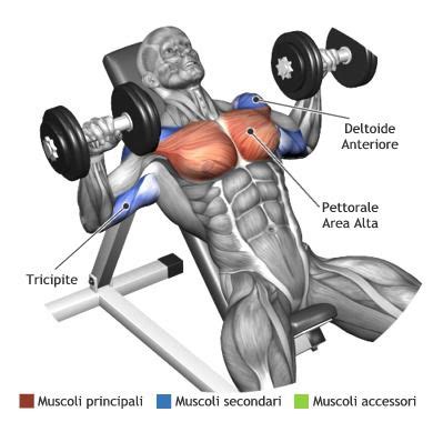 Mens Chest Workouts – Most effective chest workouts ~ multiple fitness