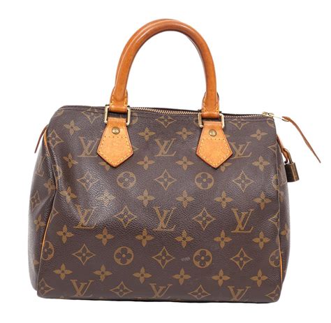 Louis Vuitton Speedy 25 Salem Oregon | Literacy Basics