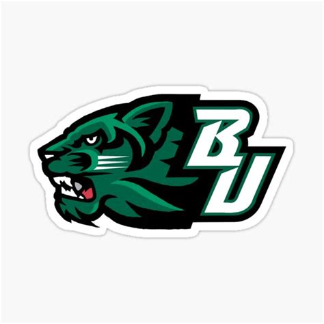 "Binghamton University" Sticker by taratumblz | Redbubble