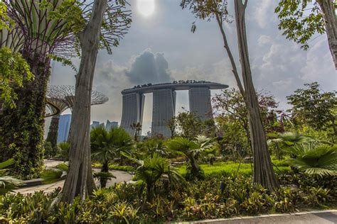 Gardens by the Bay tickets | Singapore