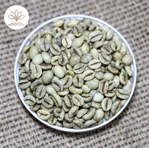 Robusta Coffee Supplier - Vietnamese Robusta Green Coffee Beans