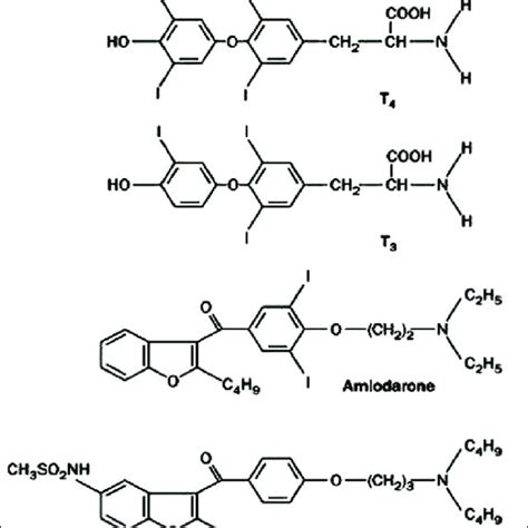 Structure of T 3 , T 4 , amiodarone, and dronedarone. | Download Scientific Diagram