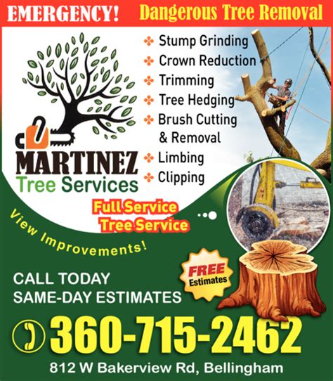 Martinez Tree Services | Whatcom Local