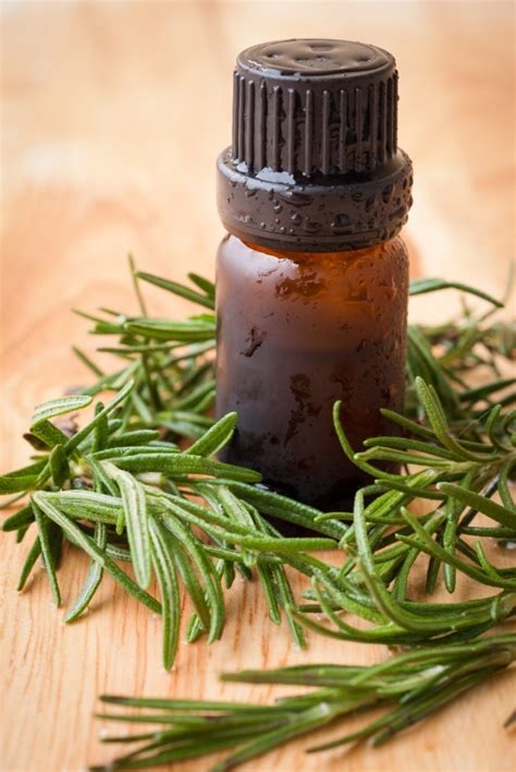 21 Magical Uses & Benefits Of Rosemary Essential Oil