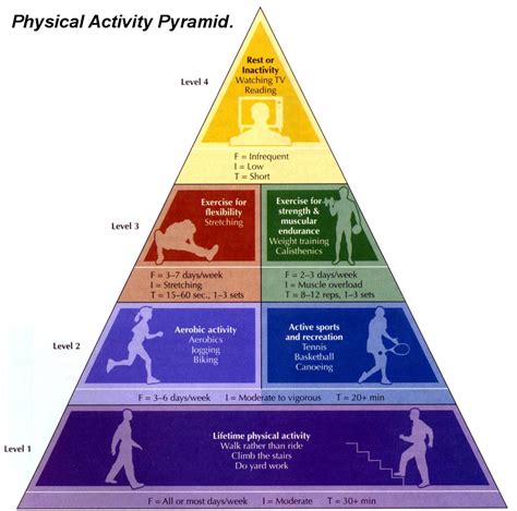 Physical Activity Pyramid Worksheets