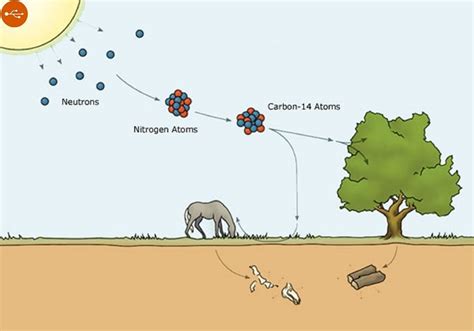 Ancient Peruvian, knew softening the rock? The mystery of Sacsayhuaman. Original article by ...